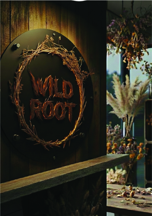 Wild Root 4