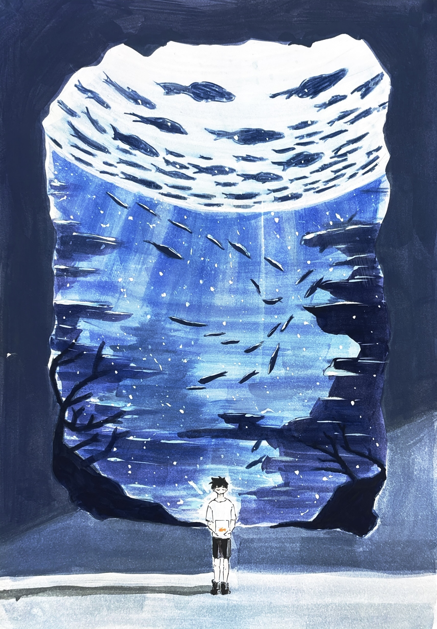 Swimming Dreams